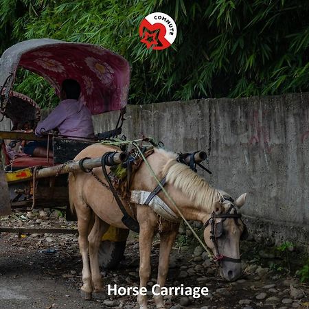 Spot On 486 Hotel Holy Lodge Sauraha Ngoại thất bức ảnh
