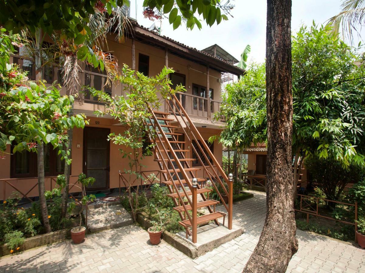 Spot On 486 Hotel Holy Lodge Sauraha Ngoại thất bức ảnh